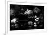 Fixed Gaze-null-Framed Premium Giclee Print