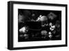 Fixed Gaze-null-Framed Art Print