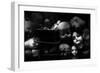 Fixed Gaze-Fulvio Pellegrini-Framed Photographic Print