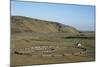 Fjadrargljufur Area, Close to Kirkjub¾jarklaustri, South Iceland-Julia Wellner-Mounted Photographic Print