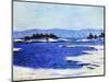 Fjord at Christiania, Norway, 1895-Claude Monet-Mounted Giclee Print