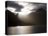 Fjord, Thomson Sound, South Island, New Zealand, Pacific-Thorsten Milse-Stretched Canvas