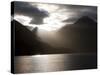 Fjord, Thomson Sound, South Island, New Zealand, Pacific-Thorsten Milse-Stretched Canvas