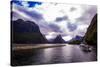 Fjords, Fjordlands National Park, UNESCO World Heritage Site, South Island, New Zealand, Pacific-Laura Grier-Stretched Canvas