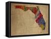 FL Colorful Counties-Red Atlas Designs-Framed Stretched Canvas