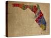 FL Colorful Counties-Red Atlas Designs-Stretched Canvas
