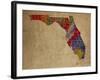 FL Colorful Counties-Red Atlas Designs-Framed Giclee Print