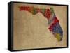 FL Colorful Counties-Red Atlas Designs-Framed Stretched Canvas