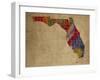 FL Colorful Counties-Red Atlas Designs-Framed Giclee Print