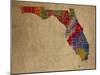 FL Colorful Counties-Red Atlas Designs-Mounted Giclee Print
