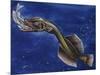 Flabby Whalefish (Cetomimus Sp) Cetomimidae, Drawing-null-Mounted Giclee Print