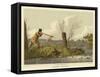 Flacker Shooting-Henry Thomas Alken-Framed Stretched Canvas