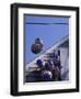 Flag Balloons Flying Out of a Small Door-Gary D^ Ercole-Framed Photographic Print