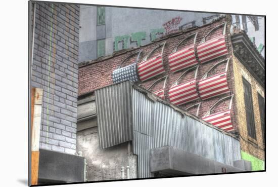 Flag Car Doors Brooklyn-Robert Goldwitz-Mounted Giclee Print