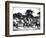 Flag Carriers, Singapore, 1900-null-Framed Giclee Print