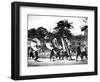 Flag Carriers, Singapore, 1900-null-Framed Giclee Print