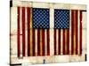 Flag Day-Daniel Patrick Kessler-Stretched Canvas