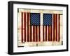 Flag Day-Daniel Patrick Kessler-Framed Giclee Print