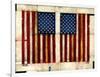 Flag Day-Daniel Patrick Kessler-Framed Giclee Print