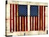 Flag Day-Daniel Patrick Kessler-Stretched Canvas