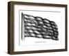 Flag: Don't Tread on Me-null-Framed Giclee Print