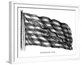 Flag: Don't Tread on Me-null-Framed Giclee Print