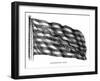 Flag: Don't Tread on Me-null-Framed Giclee Print