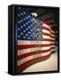 Flag Ellis-Carol Highsmith-Framed Stretched Canvas