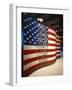 Flag Ellis-Carol Highsmith-Framed Photo