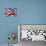Flag England-bioraven-Art Print displayed on a wall