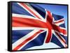 Flag England-bioraven-Framed Stretched Canvas