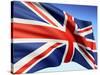 Flag England-bioraven-Stretched Canvas