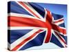 Flag England-bioraven-Stretched Canvas