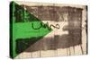 Flag Ii, 1992 (Screen Print on Canvas)-Laila Shawa-Stretched Canvas