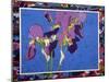 Flag Irises-Frances Treanor-Mounted Giclee Print