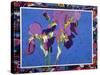 Flag Irises-Frances Treanor-Stretched Canvas