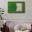 Flag of Algeria on Grass-raphtong-Framed Stretched Canvas displayed on a wall