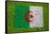 Flag of Algeria on Grass-raphtong-Framed Stretched Canvas