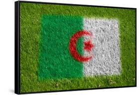 Flag of Algeria on Grass-raphtong-Framed Stretched Canvas