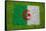 Flag of Algeria on Grass-raphtong-Framed Stretched Canvas