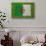 Flag of Algeria on Grass-raphtong-Stretched Canvas displayed on a wall