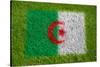 Flag of Algeria on Grass-raphtong-Stretched Canvas