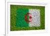 Flag of Algeria on Grass-raphtong-Framed Art Print