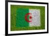 Flag of Algeria on Grass-raphtong-Framed Art Print