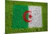 Flag of Algeria on Grass-raphtong-Mounted Art Print