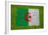 Flag of Algeria on Grass-raphtong-Framed Art Print