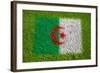 Flag of Algeria on Grass-raphtong-Framed Art Print