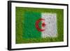 Flag of Algeria on Grass-raphtong-Framed Art Print