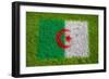 Flag of Algeria on Grass-raphtong-Framed Art Print