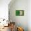 Flag of Algeria on Grass-raphtong-Mounted Art Print displayed on a wall